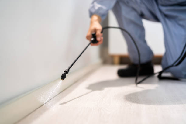 Licensed Fumigation Services service in Siskiyou County County, CA - Nex Pest Control